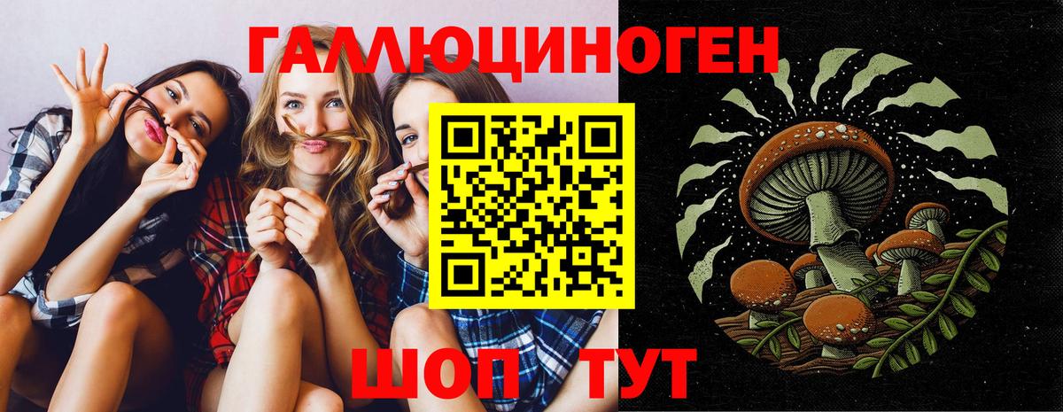 Галлюциногенные грибы ЛСД  Галлюциногенные грибы ЛСД  Краснодар  Вход с VPN 