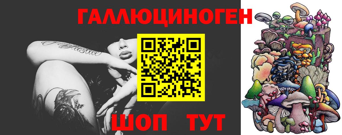 Псилоцибиновые грибы прущие грибы Краснодар